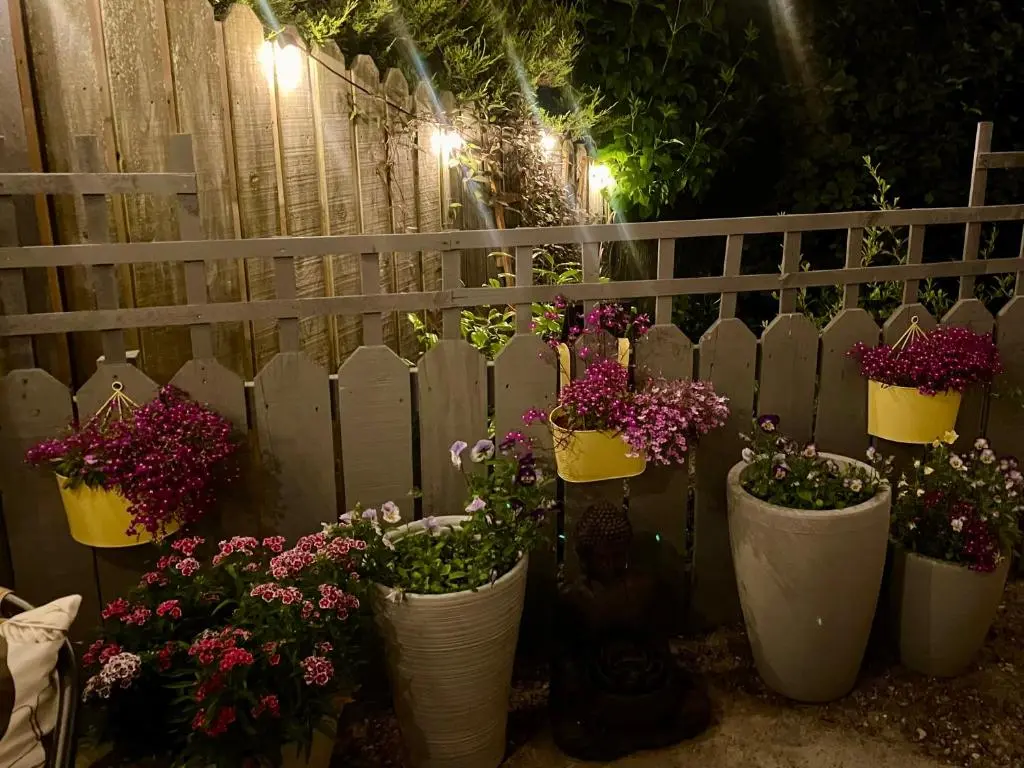 a bunch of flowers in white vases next to a fence at Findon nook in Culbokie