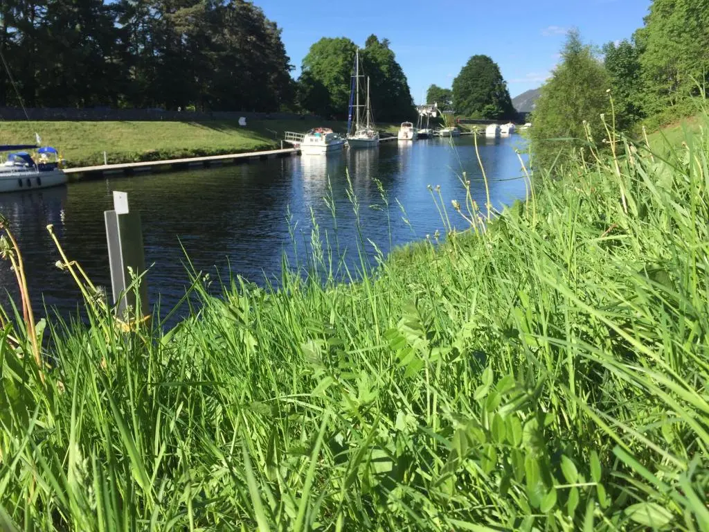 a river with boats in the water and some grass at Cameron apartment Loch Ness in Fort Augustus