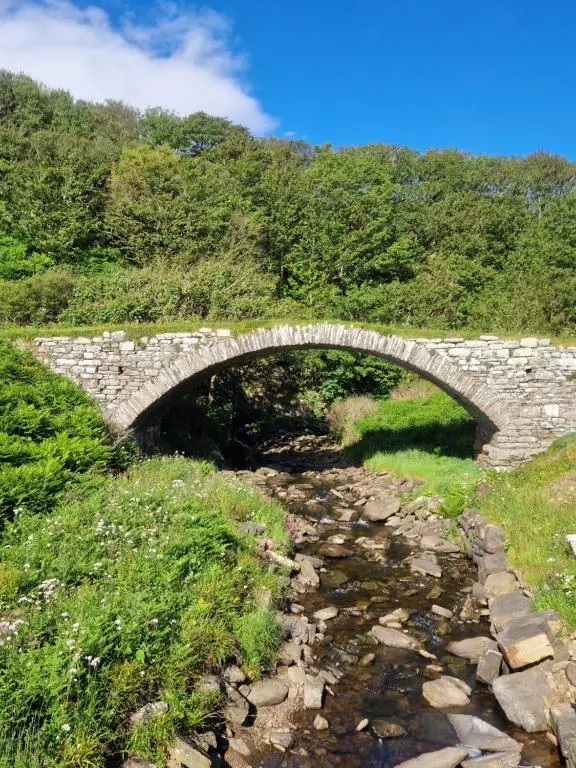 a stone bridge over a stream in a field at Byrnside Lodge in Latheron