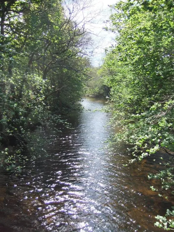 a river with trees on the side of it at Foyers House in Foyers