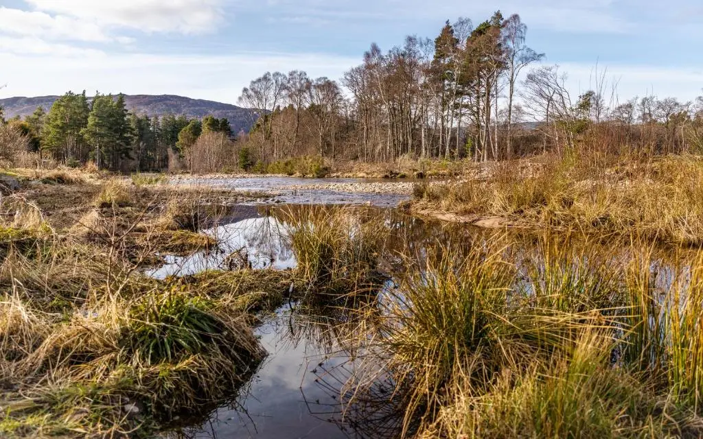 a river in a field with grass and trees at Strathy House in Aviemore