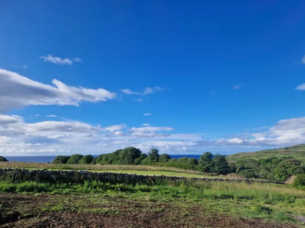 a field with trees and a blue sky at Bromach Lodge in Latheron