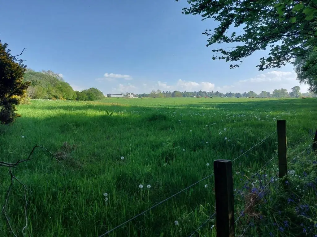 a fence in a field of green grass at Treetops - Bright 2 Bed Flat - Super Location in Inverness