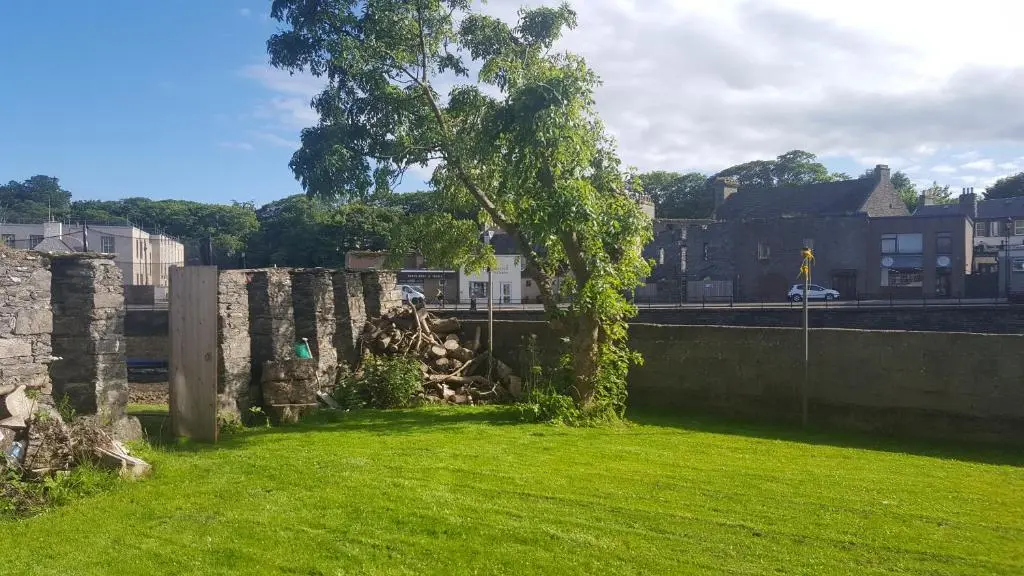a tree with ivy growing on the side of a wall at Riverside Apartments in Wick