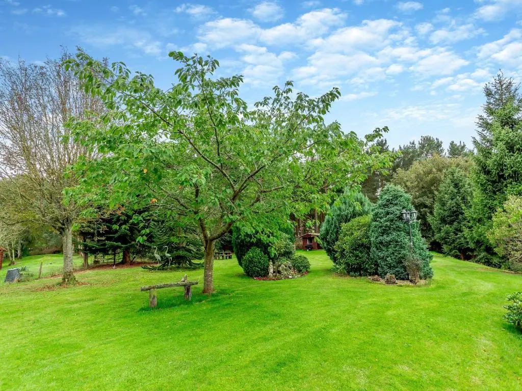 a park with a bench and a tree in the grass at Drummond House Uk42979 in Brackley