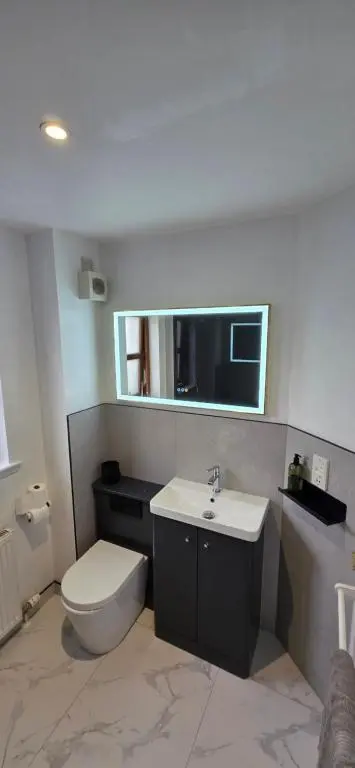 a bathroom with a toilet and a sink and a mirror at Modern Dornoch Apartment in Dornoch