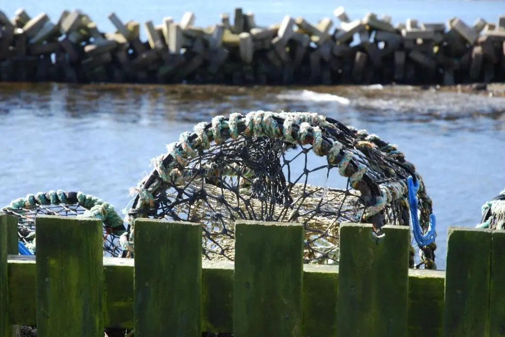 a chain wrapped around a wooden fence next to the water at Bruadarach 'Visionary, Dreamer' in Dunbeath