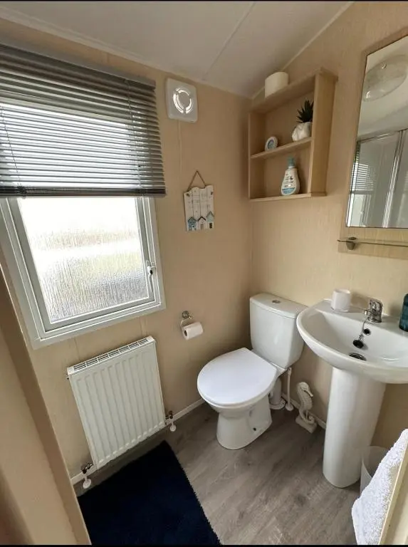 a small bathroom with a toilet and a sink at Cozy\u2019s caravan hire in Lossiemouth