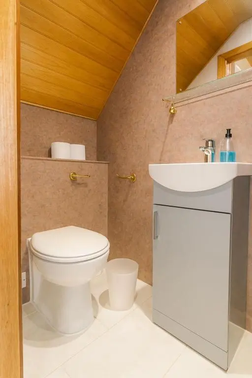 a bathroom with a white toilet and a sink at Tanera in Inverness