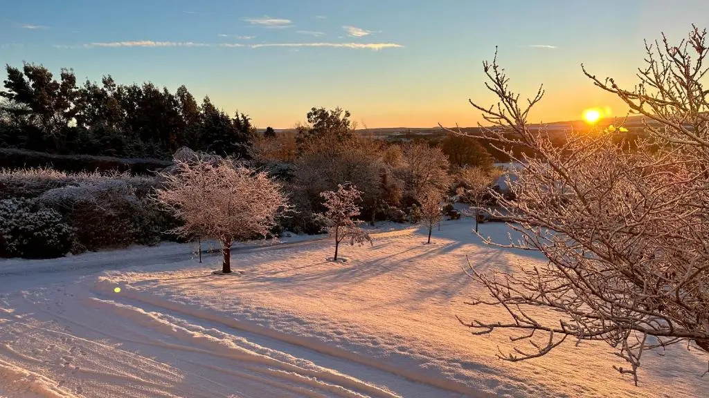 a snowy field with trees and the sunset in the background at Drumfin Cottage in Elgin