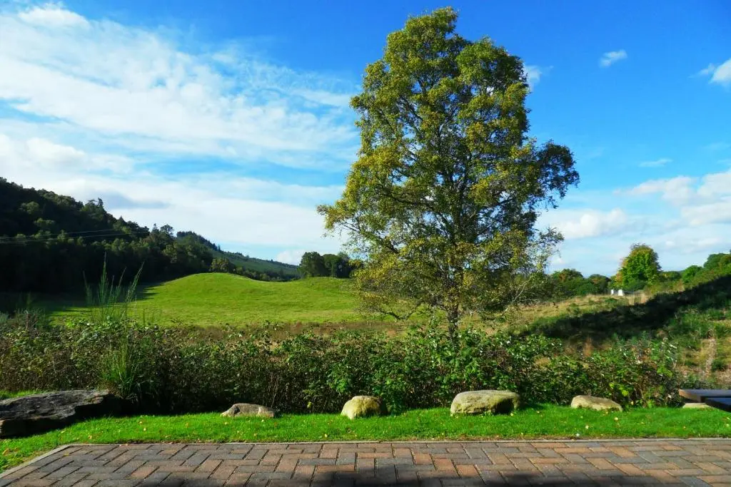 a group of animals grazing in a field with a tree at Glomach Lodge at Lochletter Lodges in Drumnadrochit