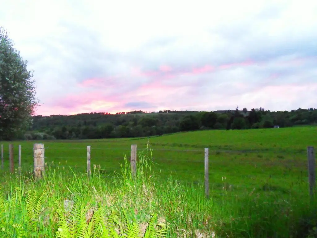 a fence in the middle of a field at Glomach Lodge at Lochletter Lodges in Drumnadrochit