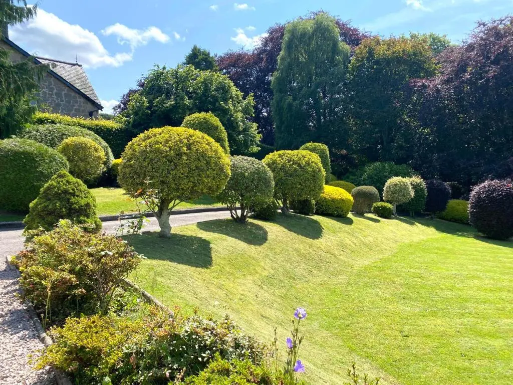 a garden with a bunch of bushes and trees at Glenburn, Peaceful Accommodation Fochabers in Fochabers