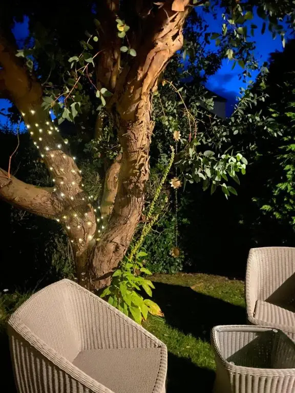 a tree with lights on it next to a chair at Glenburn, Peaceful Accommodation Fochabers in Fochabers