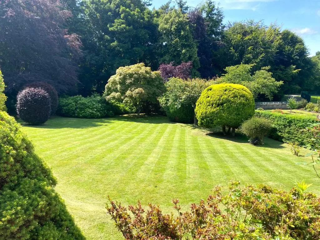 a garden with green grass and trees and bushes at Glenburn, Peaceful Accommodation Fochabers in Fochabers