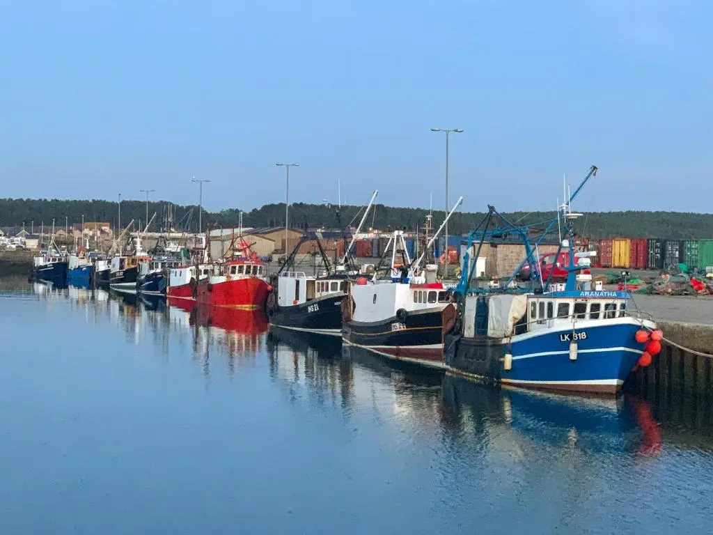 a group of boats are docked in the water at Emerald Cottage in Burghead