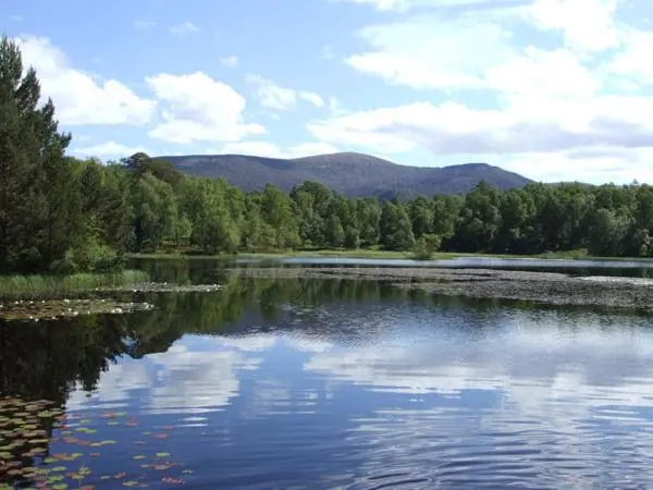 a body of water with trees and mountains in the background at Riverside Lodge Garden Apartment in Aviemore