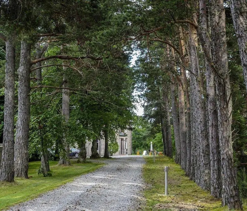 a tree lined road with a house in the distance at Dalrachney Lodge in Carrbridge