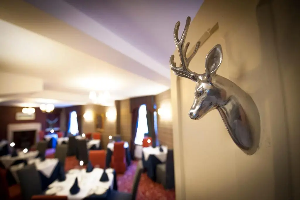a deer head on the wall of a restaurant at Loch Kinord Hotel in Dinnet