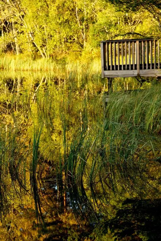 a park bench sitting next to a body of water at Loch Kinord Hotel in Dinnet