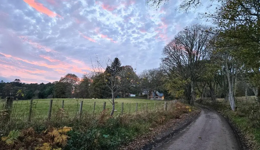a dirt road in a field with a cloudy sky at Cherry Tree Lodge in Inverness