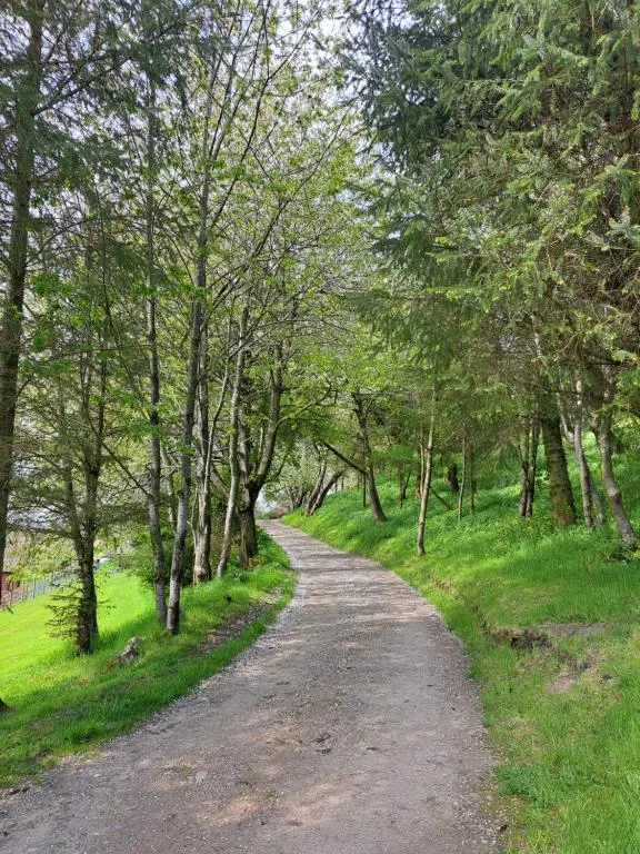 a dirt road through a forest with trees at Cobblehouse Country Cabins no TRADE WORKERS in Inverkeithny