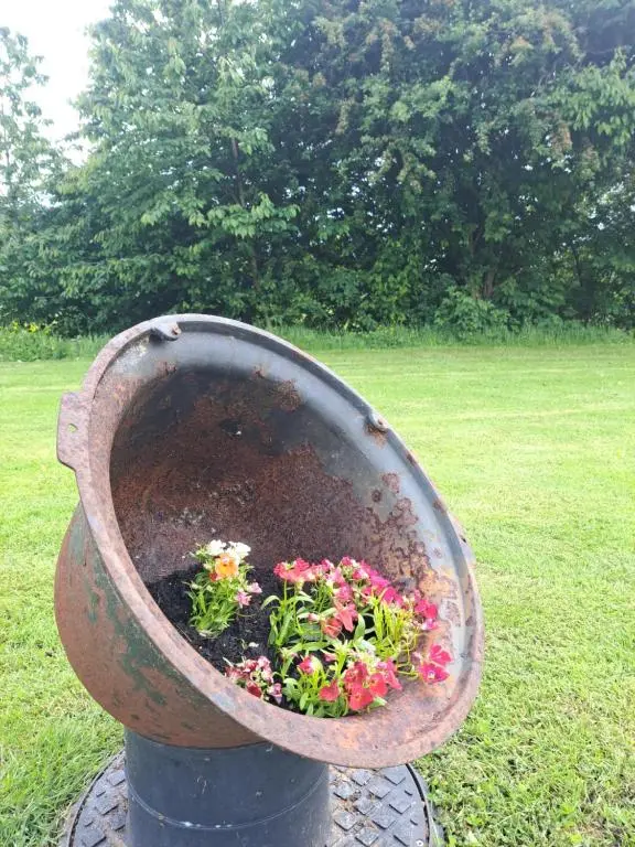 a flower pot with flowers in it in a yard at Cobblehouse Country Cabins no TRADE WORKERS in Inverkeithny