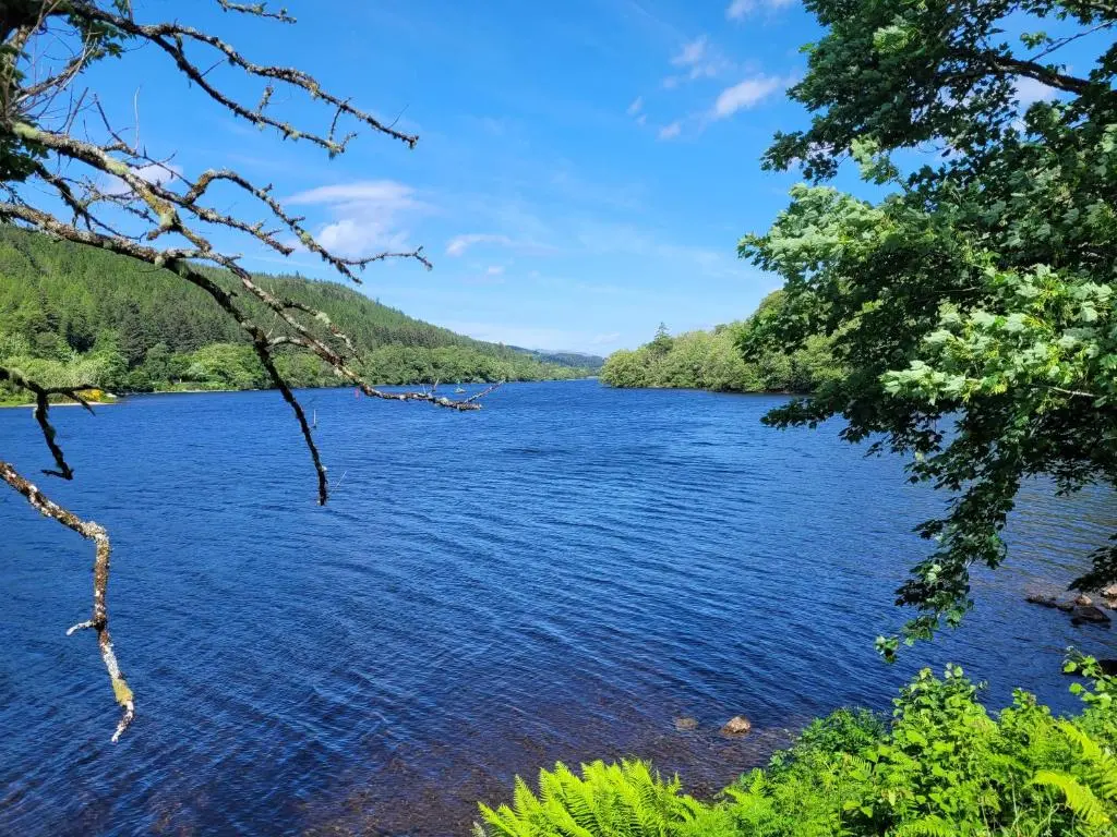 a view of a river with trees in the foreground at Lodge 2 - Inglewood Lodge in Spean Bridge