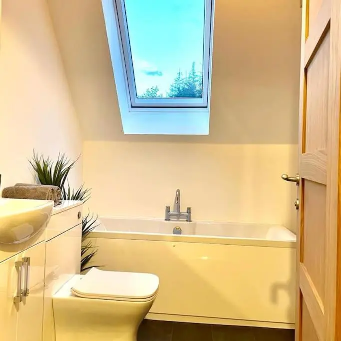 a bathroom with a toilet and a sink and a window at The Clearing in Huntly