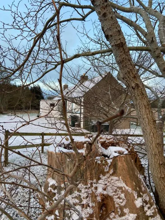 a tree covered in snow next to a fence at Dalvey Ploughmans Cottage in Forres