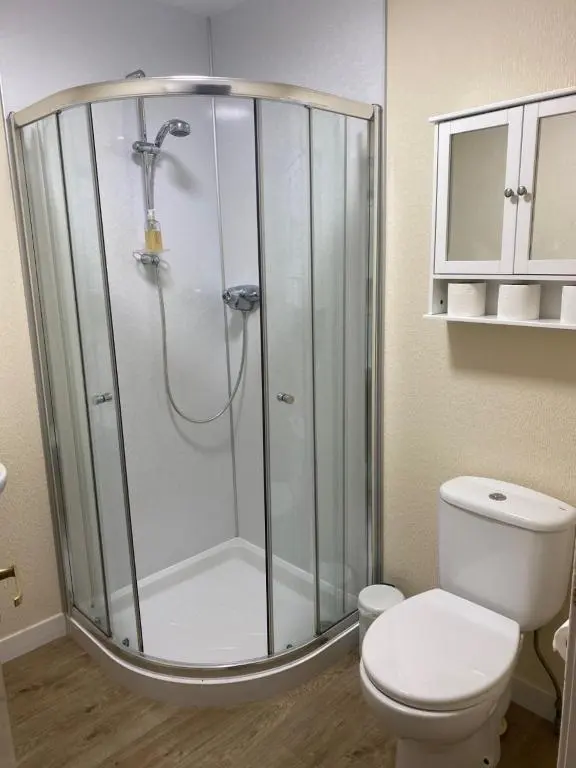 a bathroom with a shower and a toilet at Carnegie Lodgings, Tain in Tain