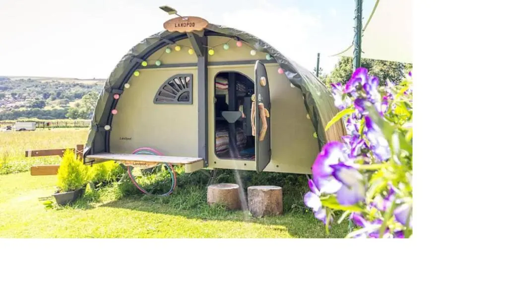 a small dome tent in a field with flowers at BCC Lochness Hostel pods in Bearnock