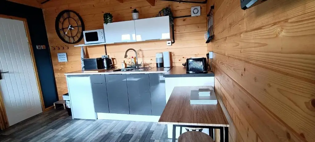 a kitchen with a counter and a wooden wall at Fairvine Cabin Fort Augustus Mtn View Pet Friendly in Fort Augustus