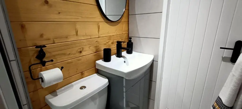 a bathroom with a toilet and a sink and a mirror at Fairvine Cabin Fort Augustus Mtn View Pet Friendly in Fort Augustus