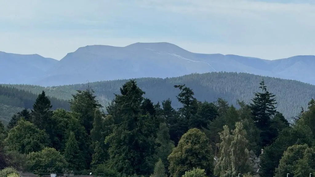 a forest of trees with mountains in the background at Wildcat Lodge Grantown on Spey in Grantown on Spey