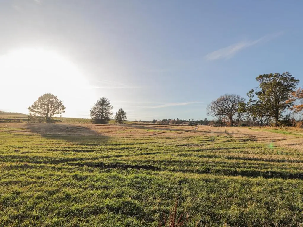 a field of grass with trees in the distance at Avemar in Buckie