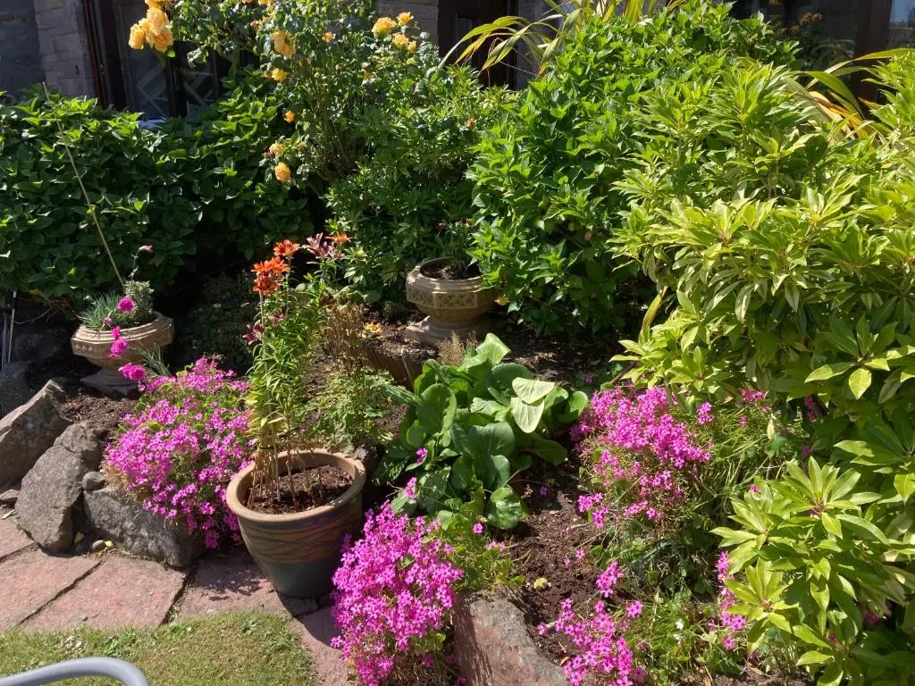 a garden filled with lots of plants and flowers at Friars Bridge Guesthouse in Inverness