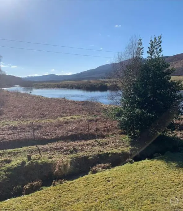 a tree in a field next to a river at Kerrow Burn Lodge Cannich Inverness-shire in Invercannich