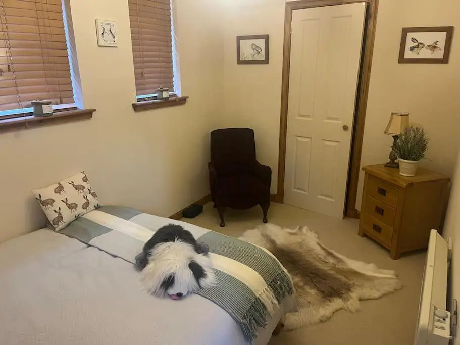 a dog laying on a bed in a bedroom at Kerrow Burn Lodge Cannich Inverness-shire in Invercannich