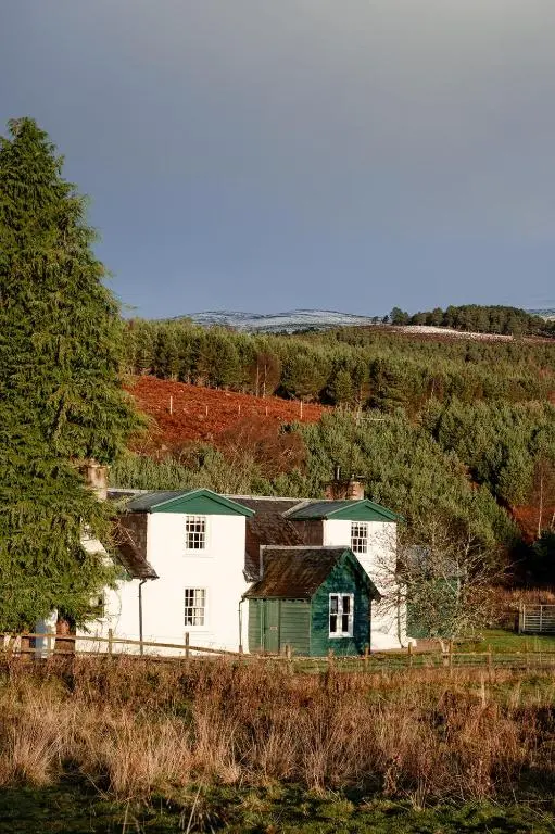a white house with a green roof in a field at Park Cottage - Seasgair Lodges in Kingussie