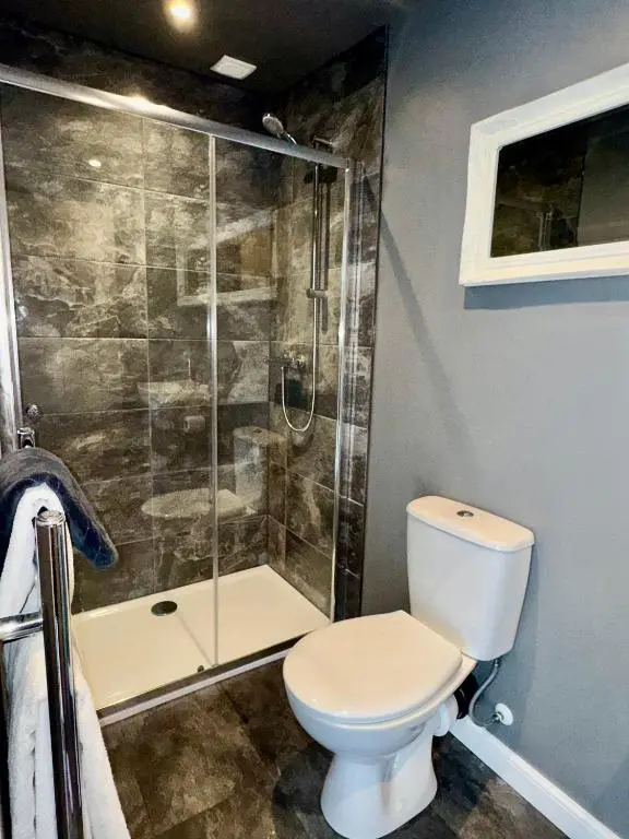 a bathroom with a toilet and a glass shower at Brae Cabin in Inverness