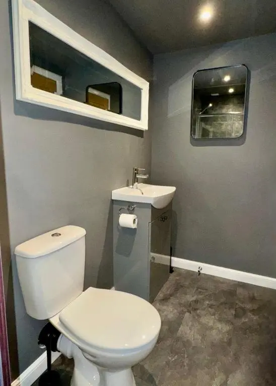 a bathroom with a white toilet and a sink at Brae Cabin in Inverness