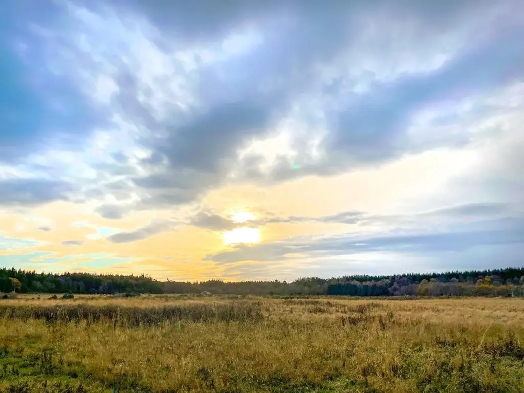 a field of grass with a cloudy sky at The Kestrel - Ukc6920 in Forres