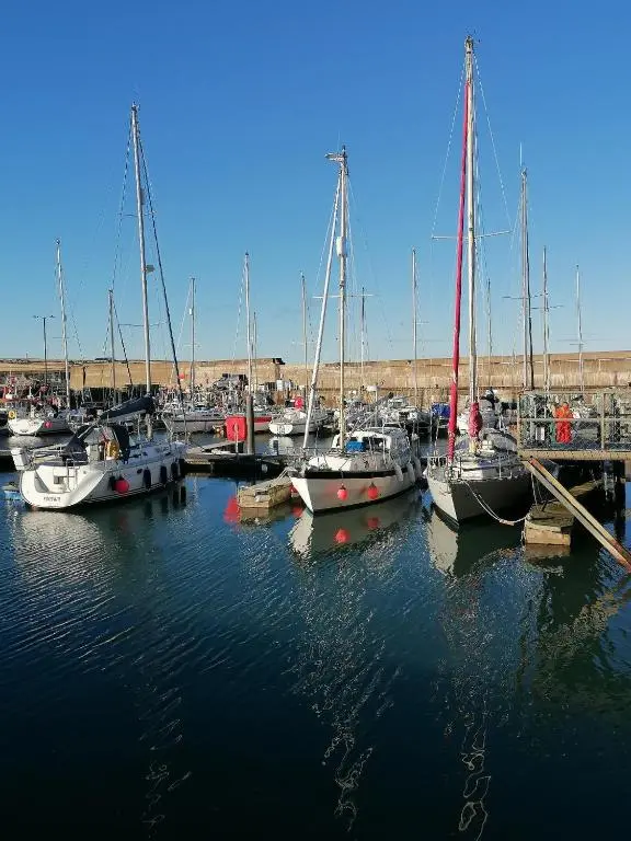 a group of boats docked in a harbor at Hytheview Cottage Whitehills in Whitehills