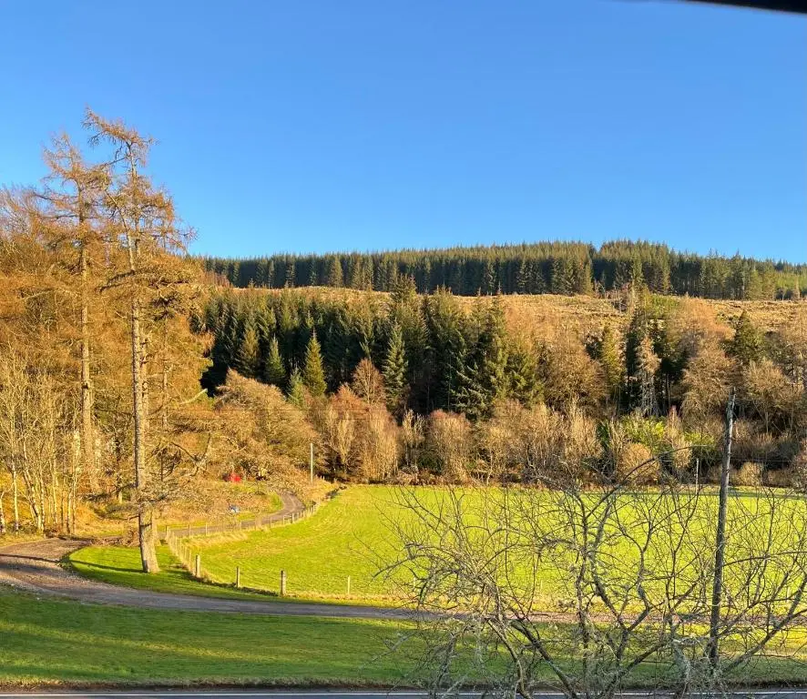 a road leading to a field with trees in the background at The Farmhouse Snug in Spean Bridge