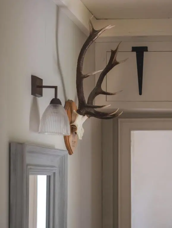 a chandelier with antlers on a wall next to a door at Brachkashie Cottage, Loch Knockie in Whitebridge