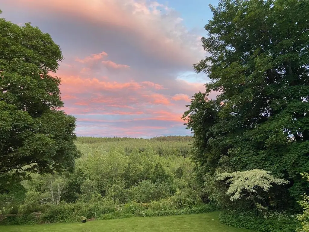 a view of a field with trees and a cloudy sky at Kirkton Cottage whole house in Cairnie Aberdeenshire in Rothiemay Station