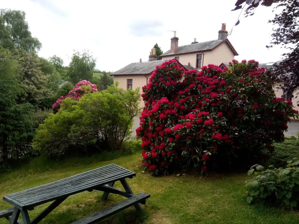 a park bench in front of a large bush of flowers at Strathpeffer Holiday Cottages in Strathpeffer