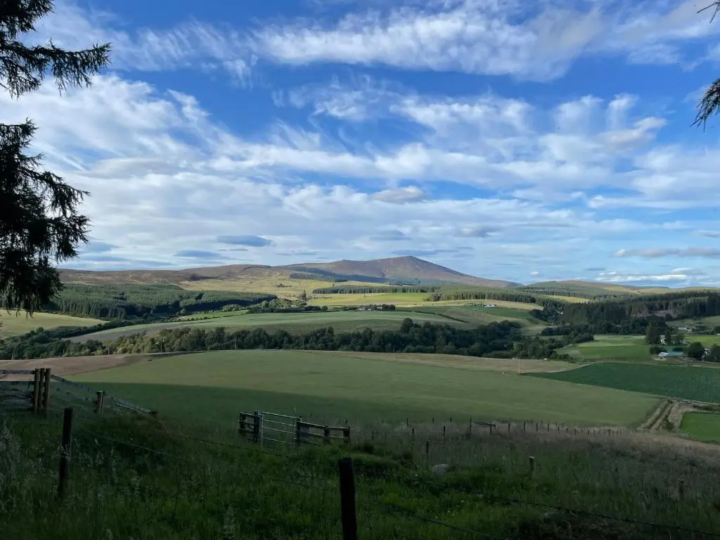 a view of a green pasture with mountains in the background at Bridge Cottage in Glenlivet