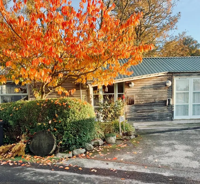 a house with a tree in front of it at The Space at the Creamery - Royal Deeside in Torphins